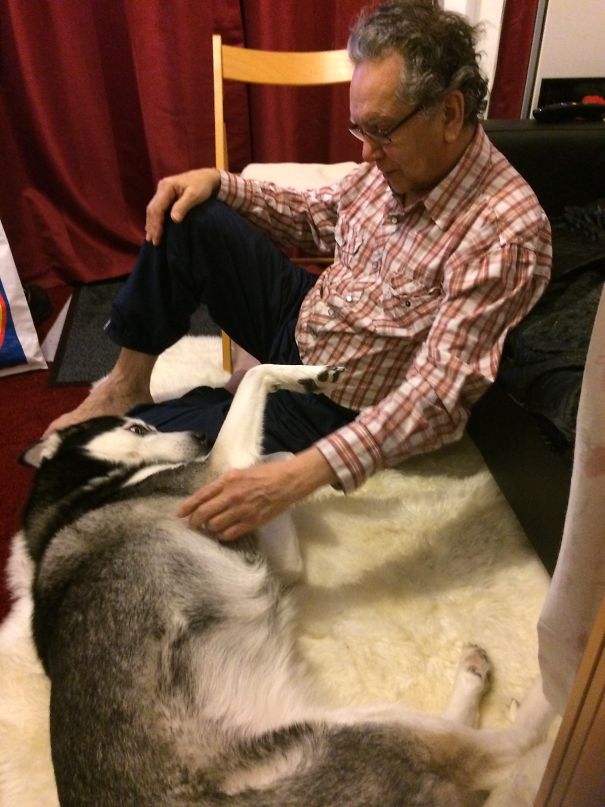 Dad Didn't Want My 'hairy Husky' In His Flat Or On His New Rug - He Also Told Me He Wasn't Going To Be Playing With Her X