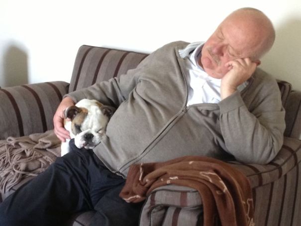 I Don't Want Your Dog In My House!