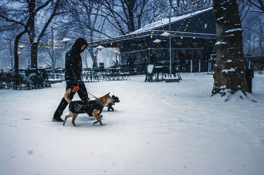 New York Winter Wonderland