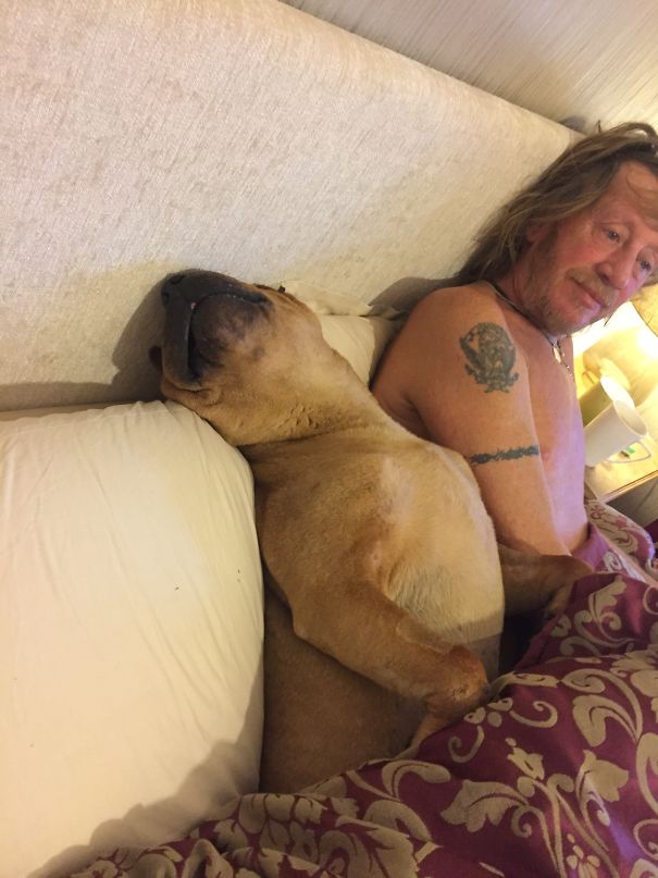 Husbands Final Word On Having A Dog... Dog In Andy Out !!!!!!