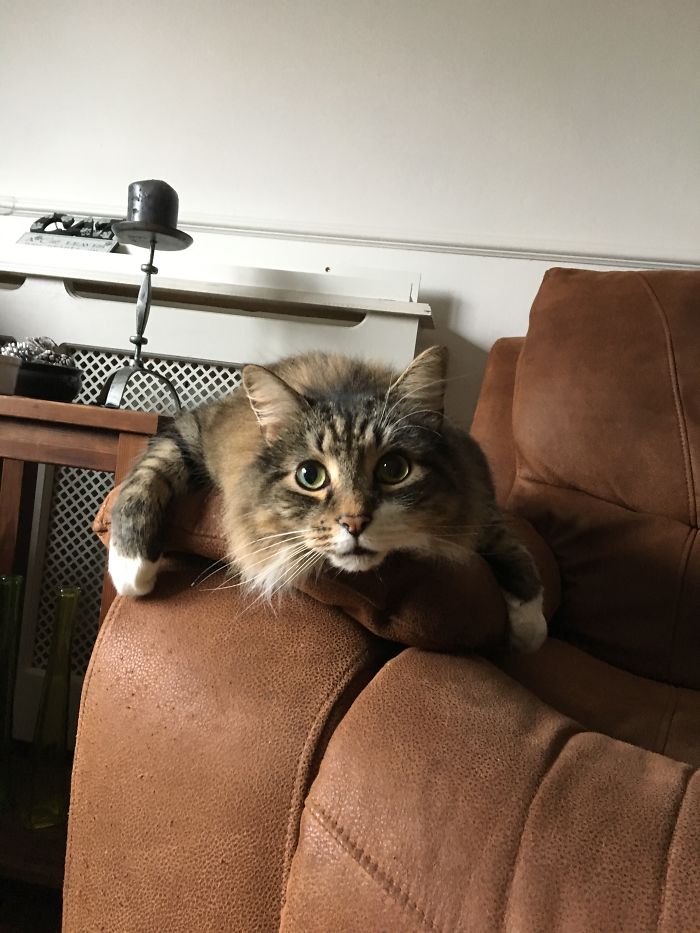 Who's A Good Boy, Then?