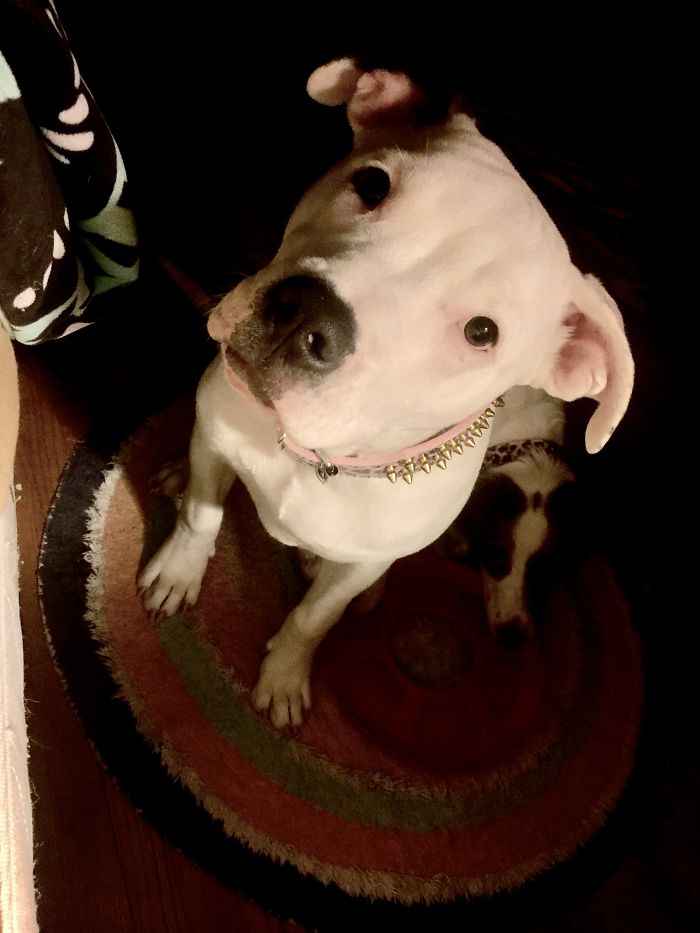 Before And After I Say Good Girl!