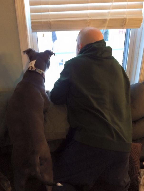 My Dad Told Me Not To Get A Pit Bull... She's Definitely His Favorite!!!