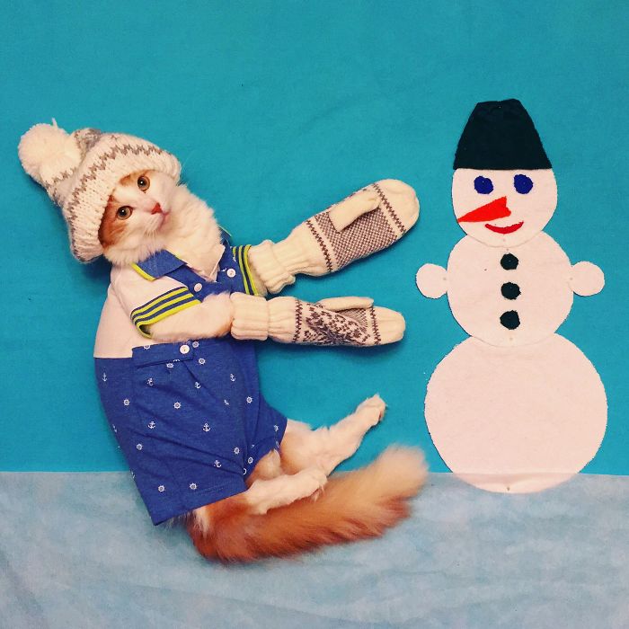 Stories About The Adventures Of A Cat