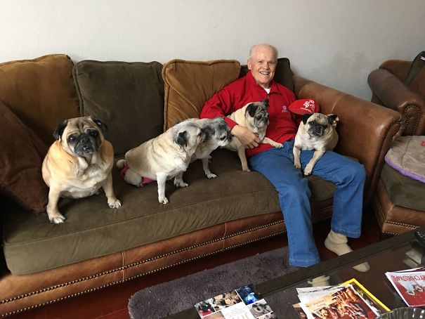 My Dad Hanging With The Grandpugs He "doesn't" Like.
