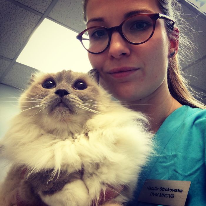 I Help All Creatures Great And Small