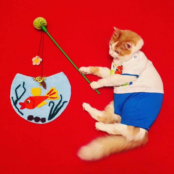 Stories About The Adventures Of A Cat