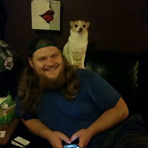 Didn't Want Small Dogs