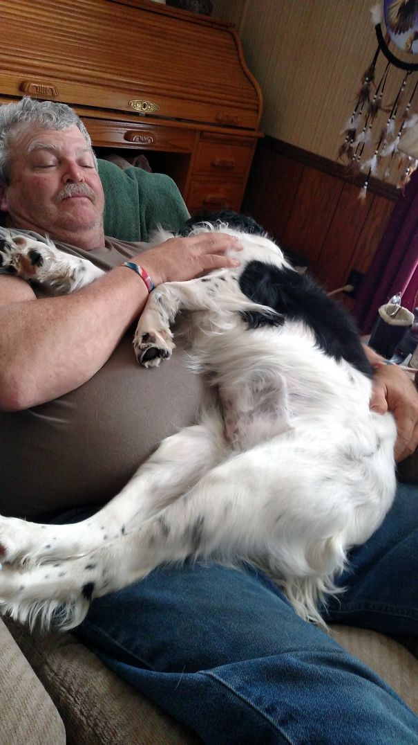 My Daddy Didn't Want Another Dog But I Wrapped Him Around My Paw