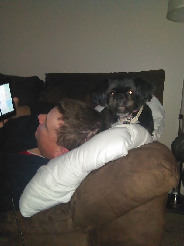 Said The New Dog Wasn't Allowed On The Couch....