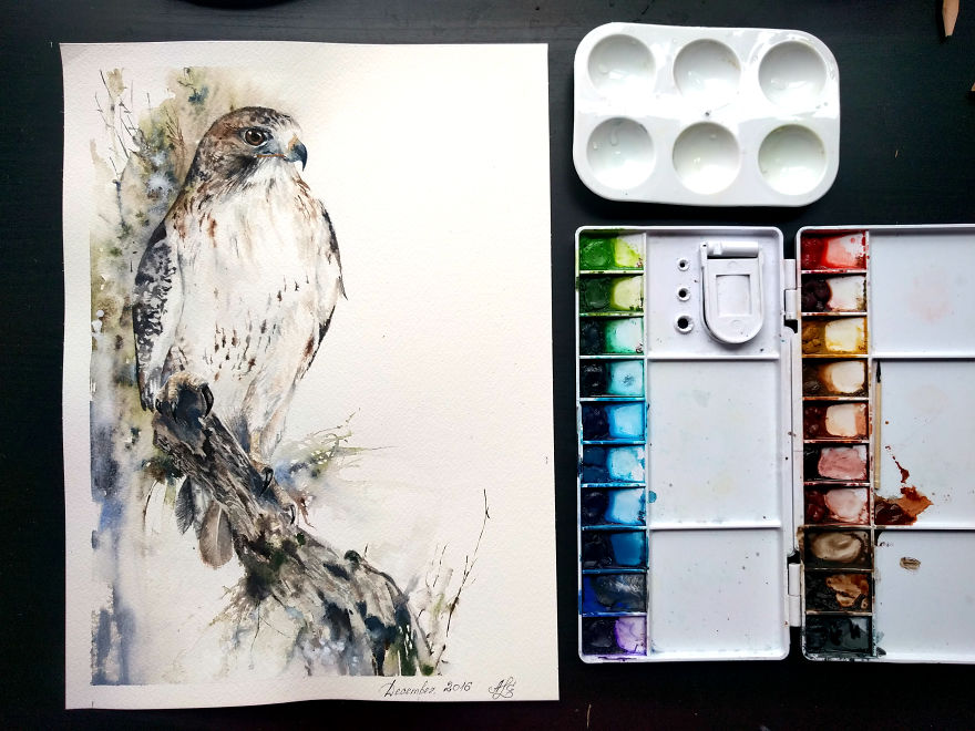 Watercolor Birds To Celebrate My First Anniversary Of Painting With Watercolor Watercolor Birds To Celebrate My First Anniversary Of Painting With Watercolor