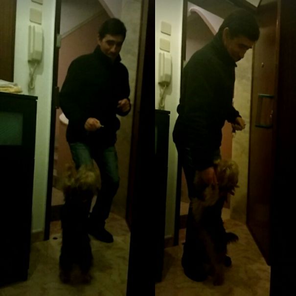 "i Dont Wont A Dog" He Said. "if You Let Him In, You Both Leave The House!" 2 Years Have Now Passed, And They Love Each Other, Im So Glad That I Still Have A Home!