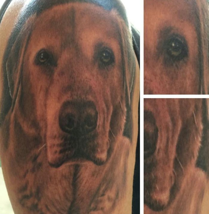 Realistic dog tattoo of a Golden Retriever on the shoulder, showcasing detailed artistry.