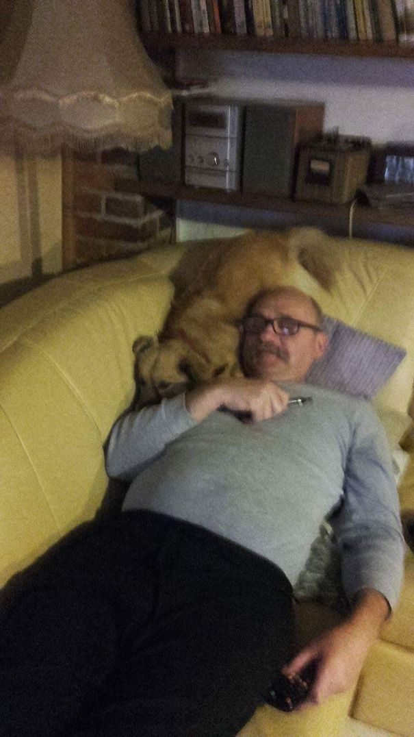 No Damn Dog In The House, Forget The Couch