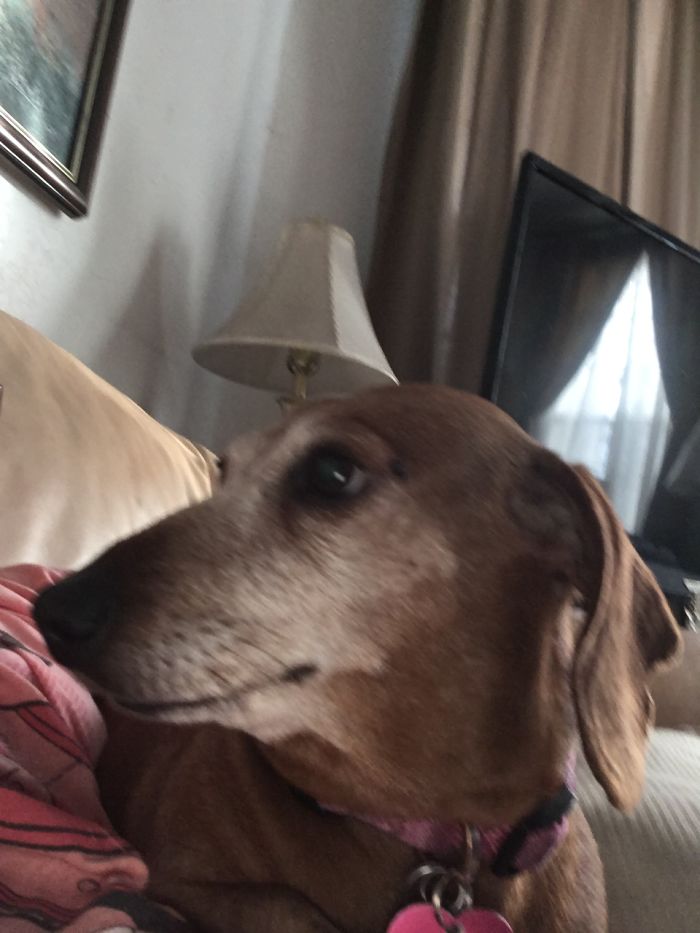 Before And After Being Told She Is A Good Girl. She Is Tired