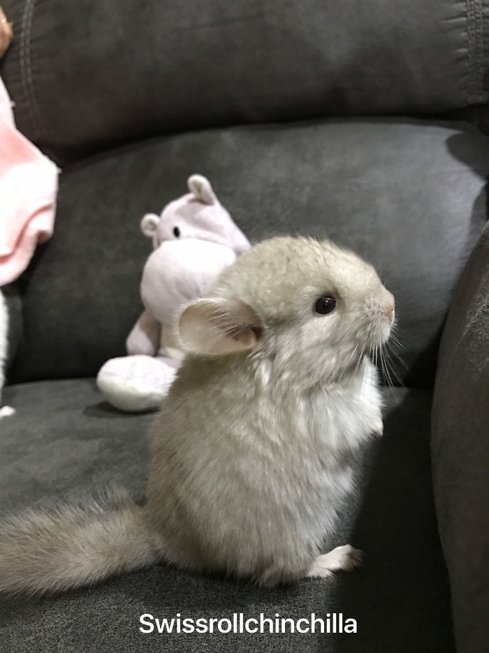 I Would Like To Sit Here Too!