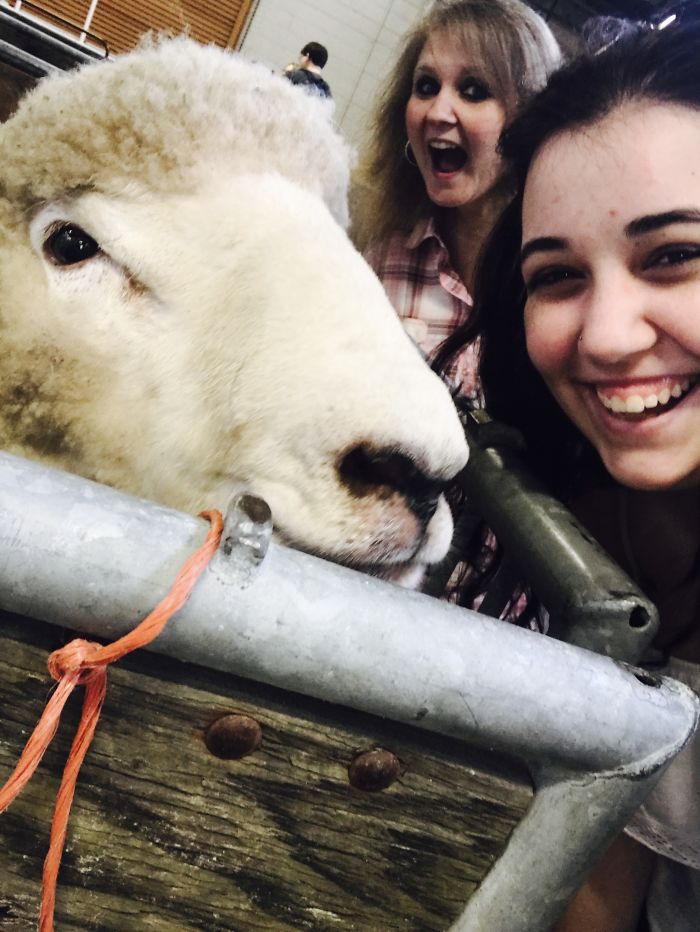 Found A New Best Friend !