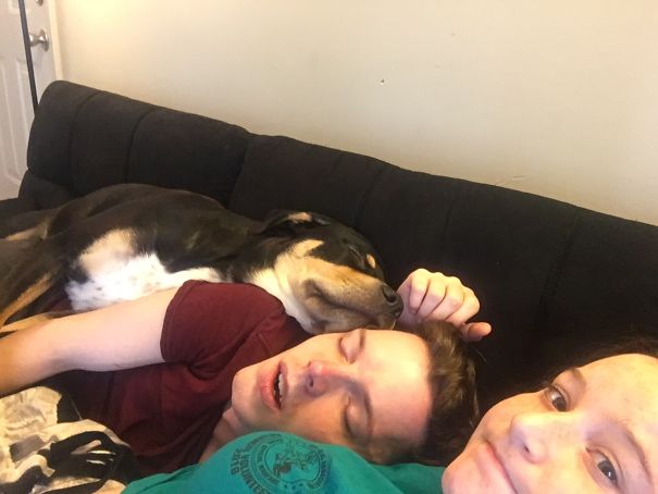 Hubs Said We Weren't Ready For A Dog... Today He Suggested Getting Him A Friend