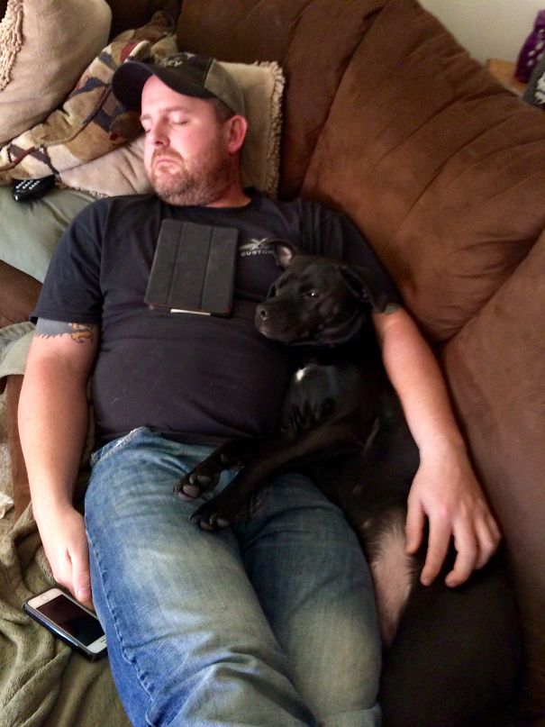 No, We Aren't Getting A Second Dog. You Already Have Yours And That's Plenty. We Have Three Now.