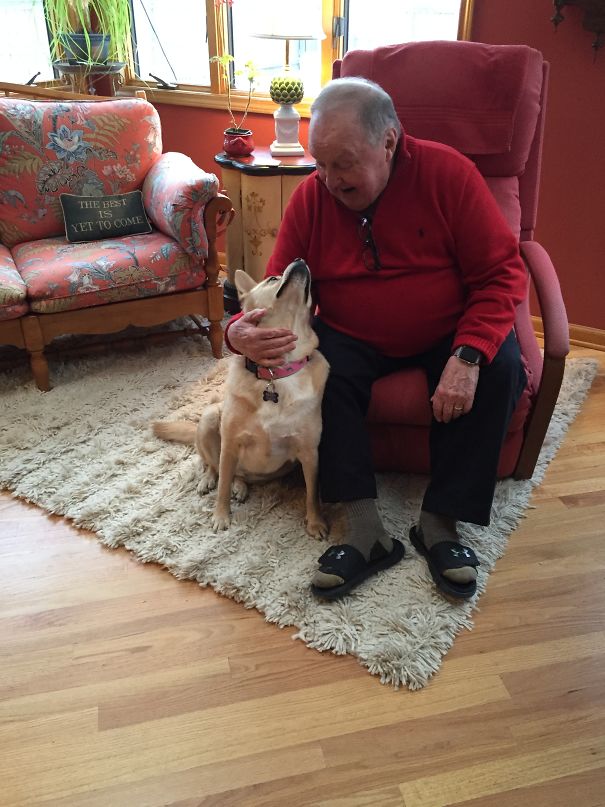 My Dad Said "absolutely No Dog!" Now Look At Him!