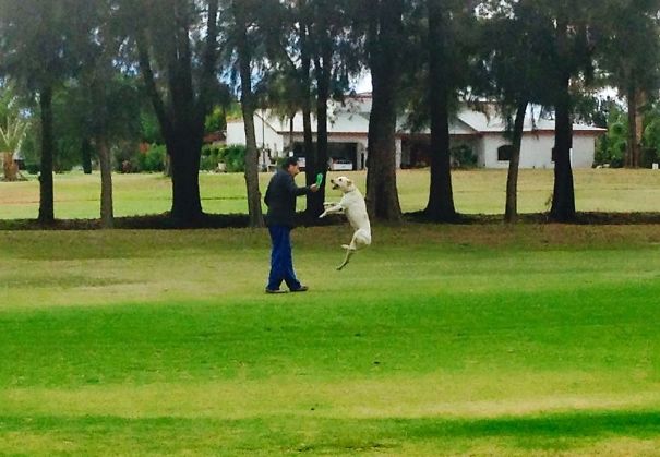 My Dad Kept Saying "you Won't Even Have Time To Play With The Dog"