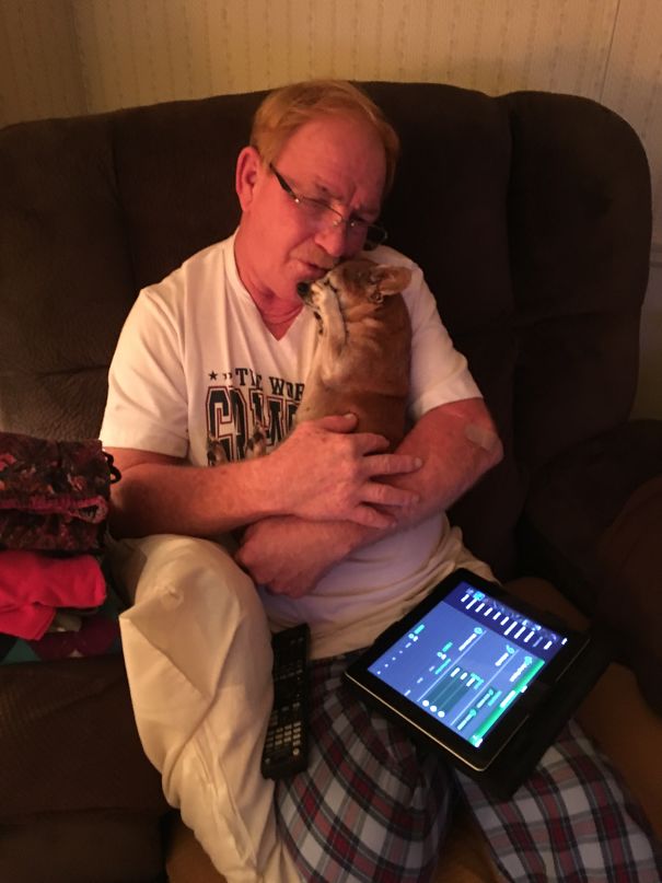 He Don't Like Dogs On His Chair