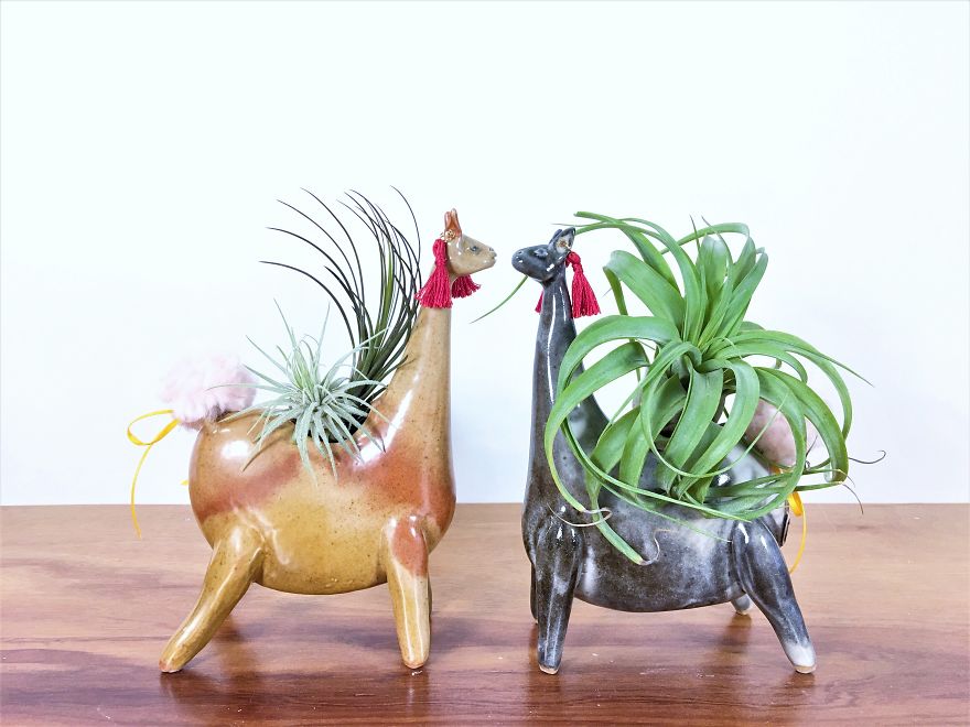 A Connection With Nature