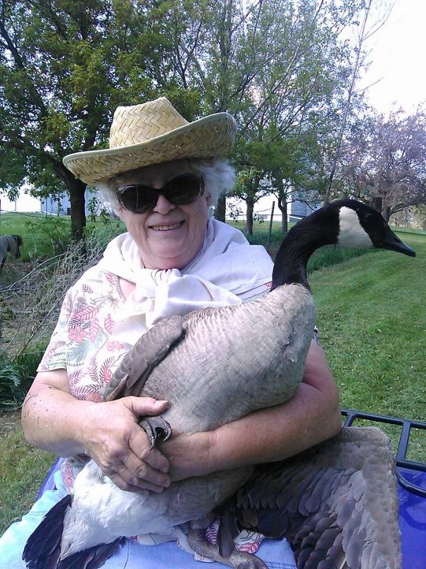 My Grandma Holding Her Goose Sitting On Her Four Wheeler.