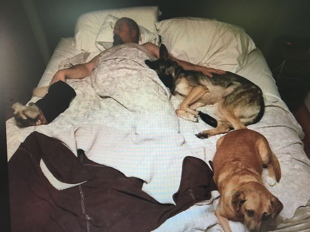 My Stepdad Didn't Like Big Dogs And Only Wanted His Little Dog ...