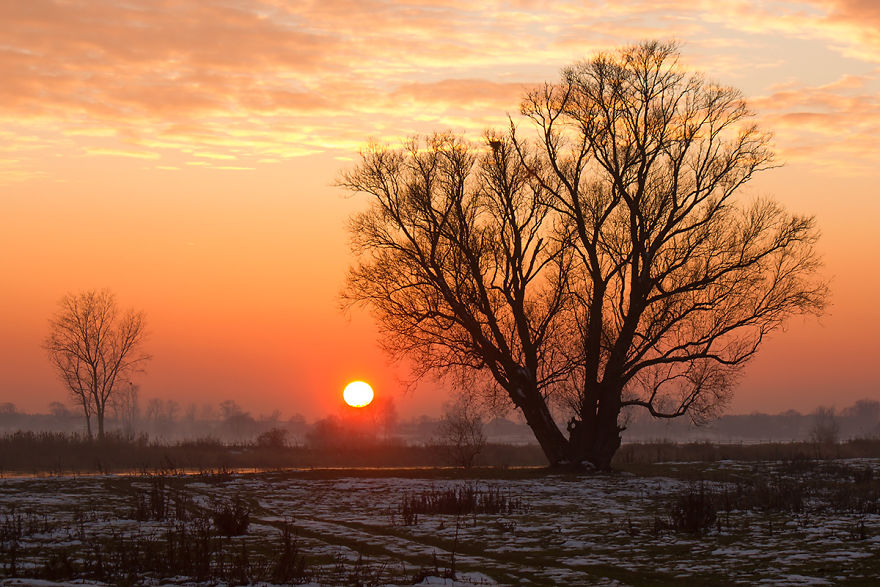 I Photographed Magical Winter In Poland