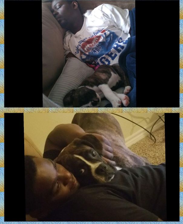 "we Don't Need A Puppy. I Don't Even Like Dogs."