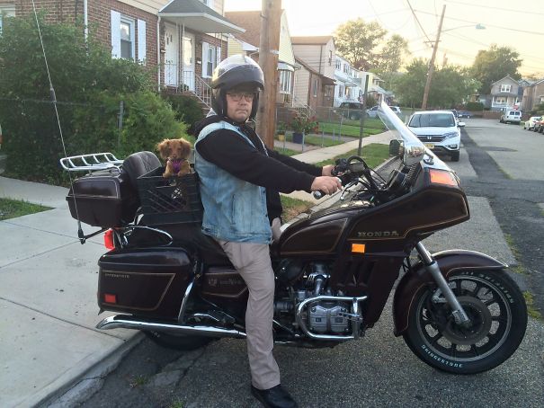 After Saying "no More Damn Dogs!" This Is Where We Find The Puppy...