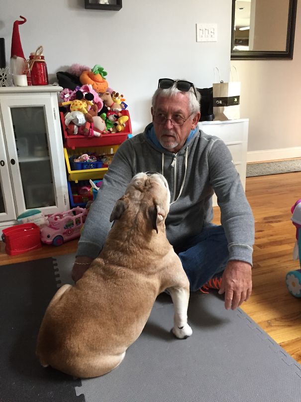 No More Dogs He Said...until The Grandpuppy Came To Live With Him....