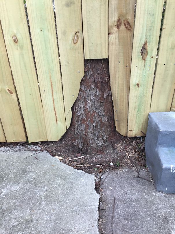 New Fence Installed At Our Airbnb In New Orleans Drove Me Crazy. And A Set Of Stairs Leading Nowhere In The Lower Left!