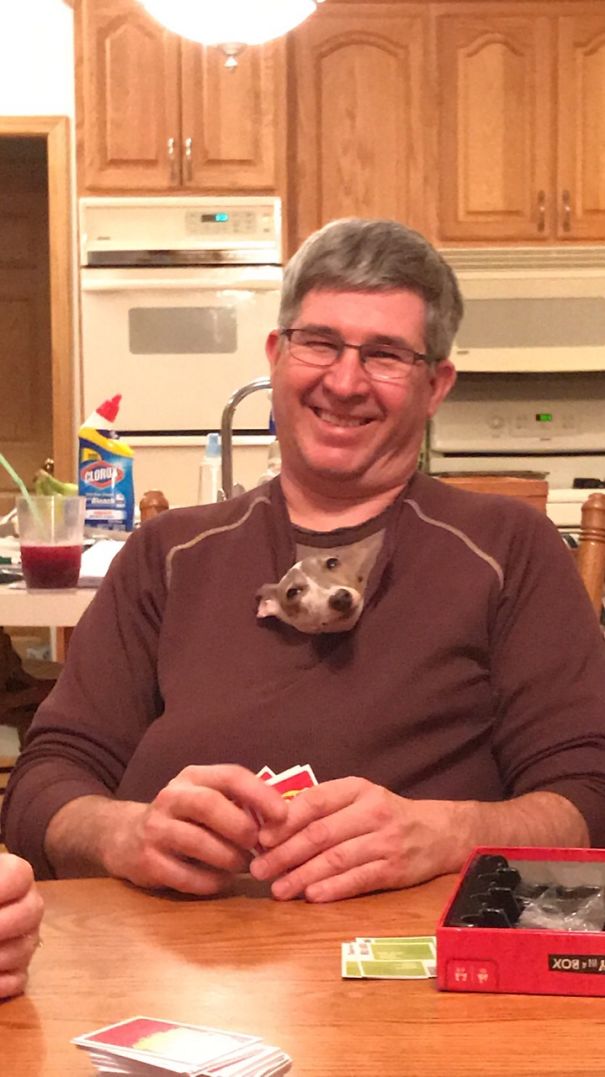 Not A Dog Person..... Doesn't Like Dogs At All..... Dogs Don't Belong In The House....