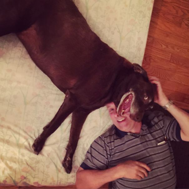 I Want A Male, Not Too Big, And Long Fur. *picks Out Female, 100lb, Short Fur.*