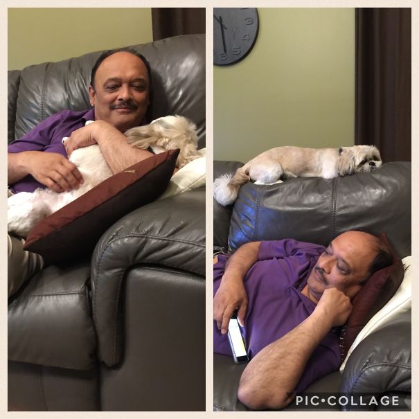 My Dad Never Allowed Me To Get A Dog When I Was Younger. He Doesn't Lie Dogs He Said!! Now He Is Inseparable With My Dog!!