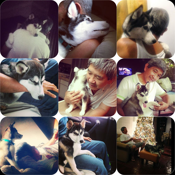 "no Big Dogs Please!" ... Now Carrying Her Like A Baby 😐