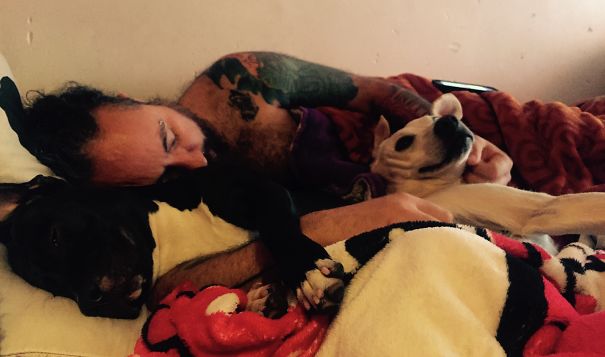 "no, I Don't Like Dogs" "no, Dogs Are Not Allowed To Stay In Bed" Yeah, Rigth