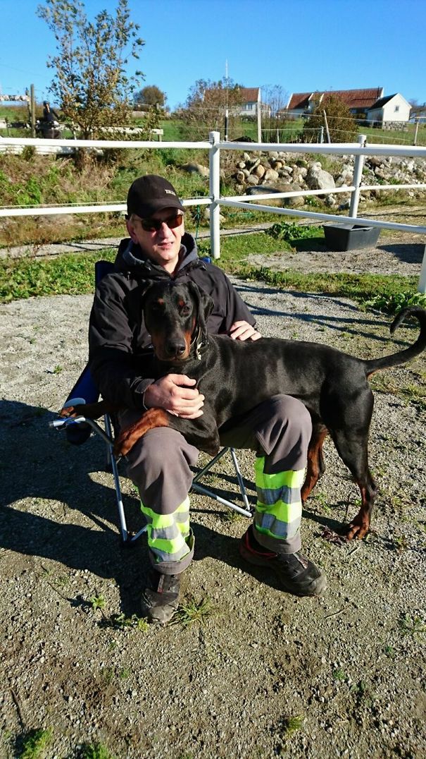 He Was Strongly Against A New Dog... Said "i Don't Want Anything To Do With A New Dog"... Now Look At Him 😂❤