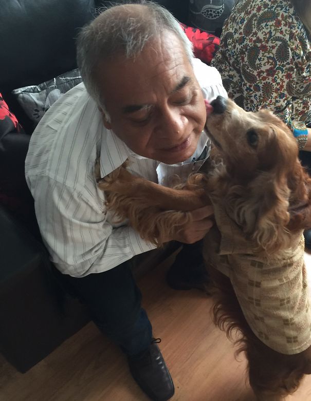 Daddy Said He Didn't Want A Dog, Do You Think He Changed His Mind?