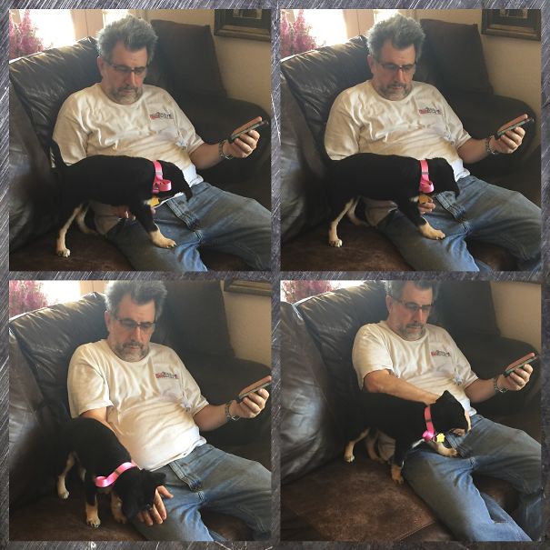 My Dad Told Me I Shouldn't Get A Puppy. He Always Claims He Doesn't Want Dogs But He Treats Them Like His Kids