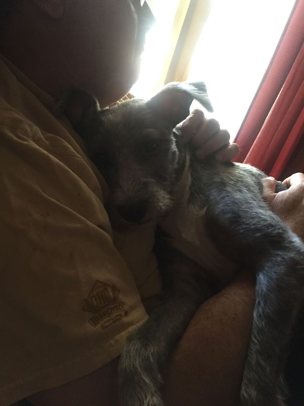 Another Daddy's Girl.