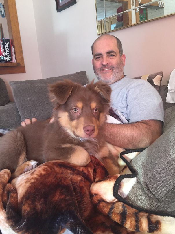 He Says We Don't Need Another Dog. They Will Stay Off The Furniture And Bed- That Lasted Umm Not Ever!