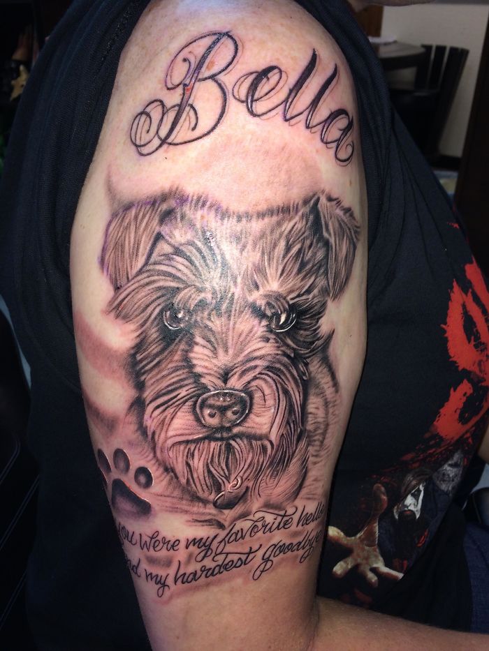 Dog tattoo with the name "Bella" and a realistic portrait on an arm.