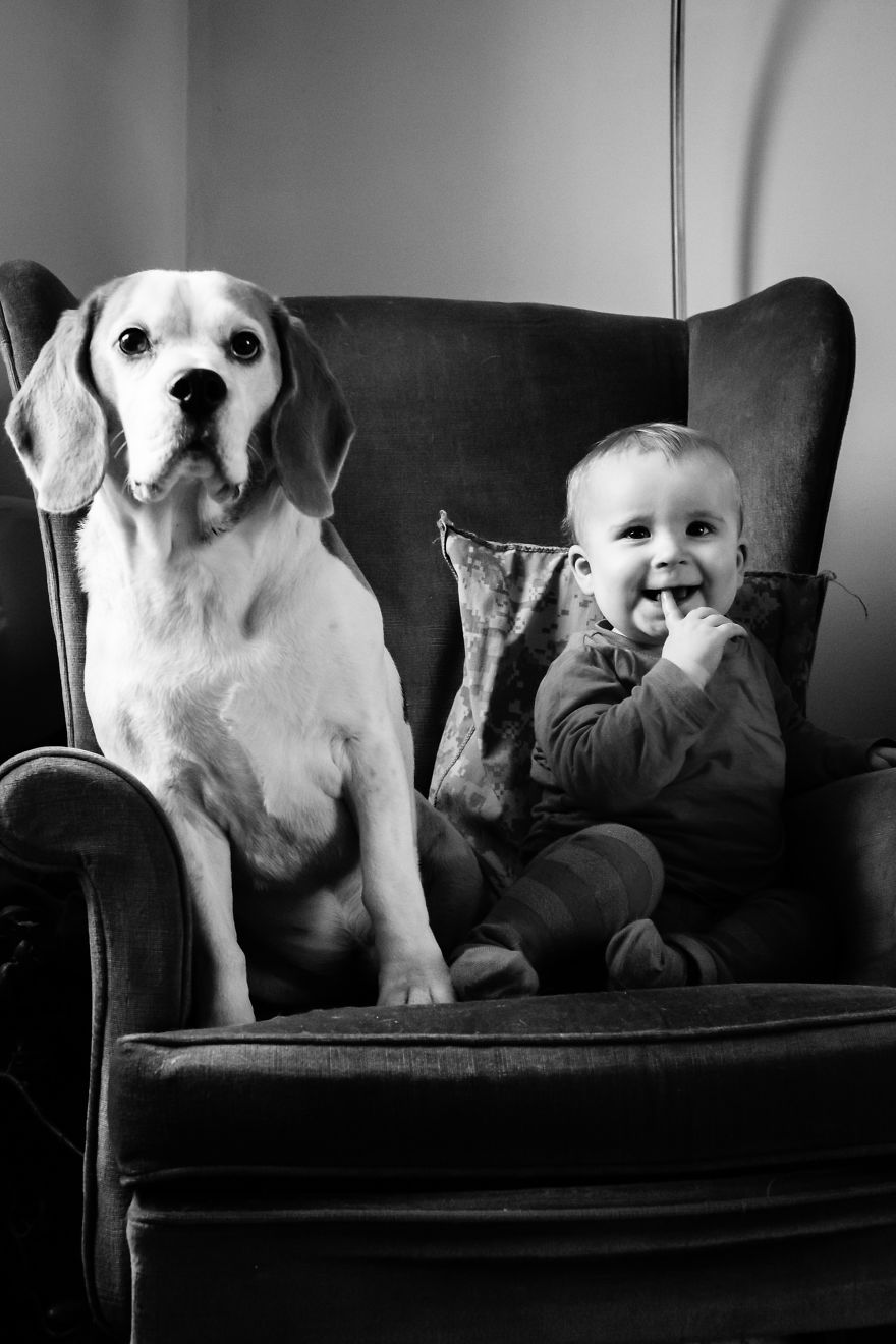 I've Taken A Picture Of My Son And Beagle Every Month For The Last Two Years In The Same Chair I've Taken A Picture Of My Son And Beagle Every Month For The Last Two Years In The Same Chair