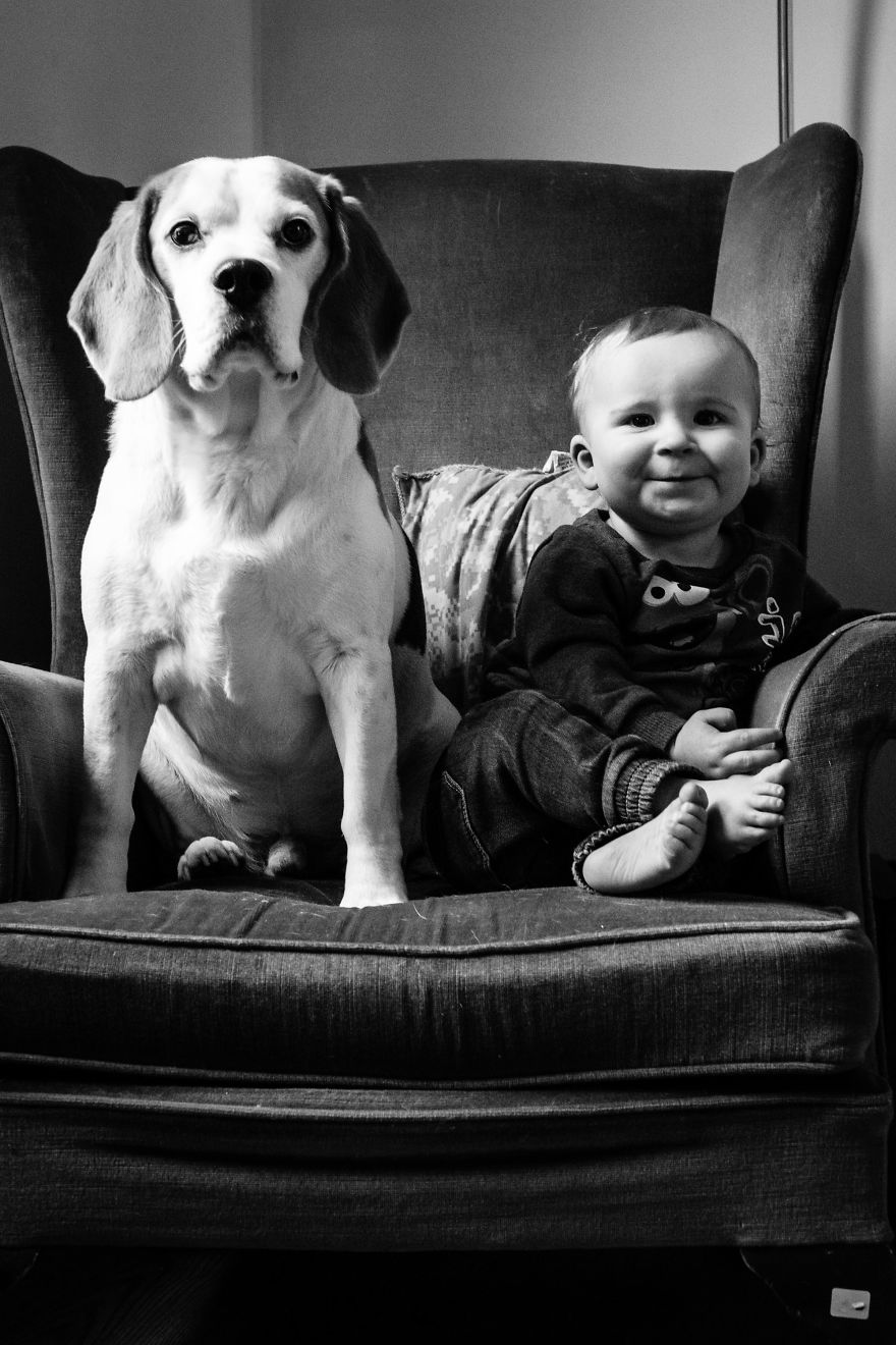 I've Taken A Picture Of My Son And Beagle Every Month For The Last Two Years In The Same Chair
