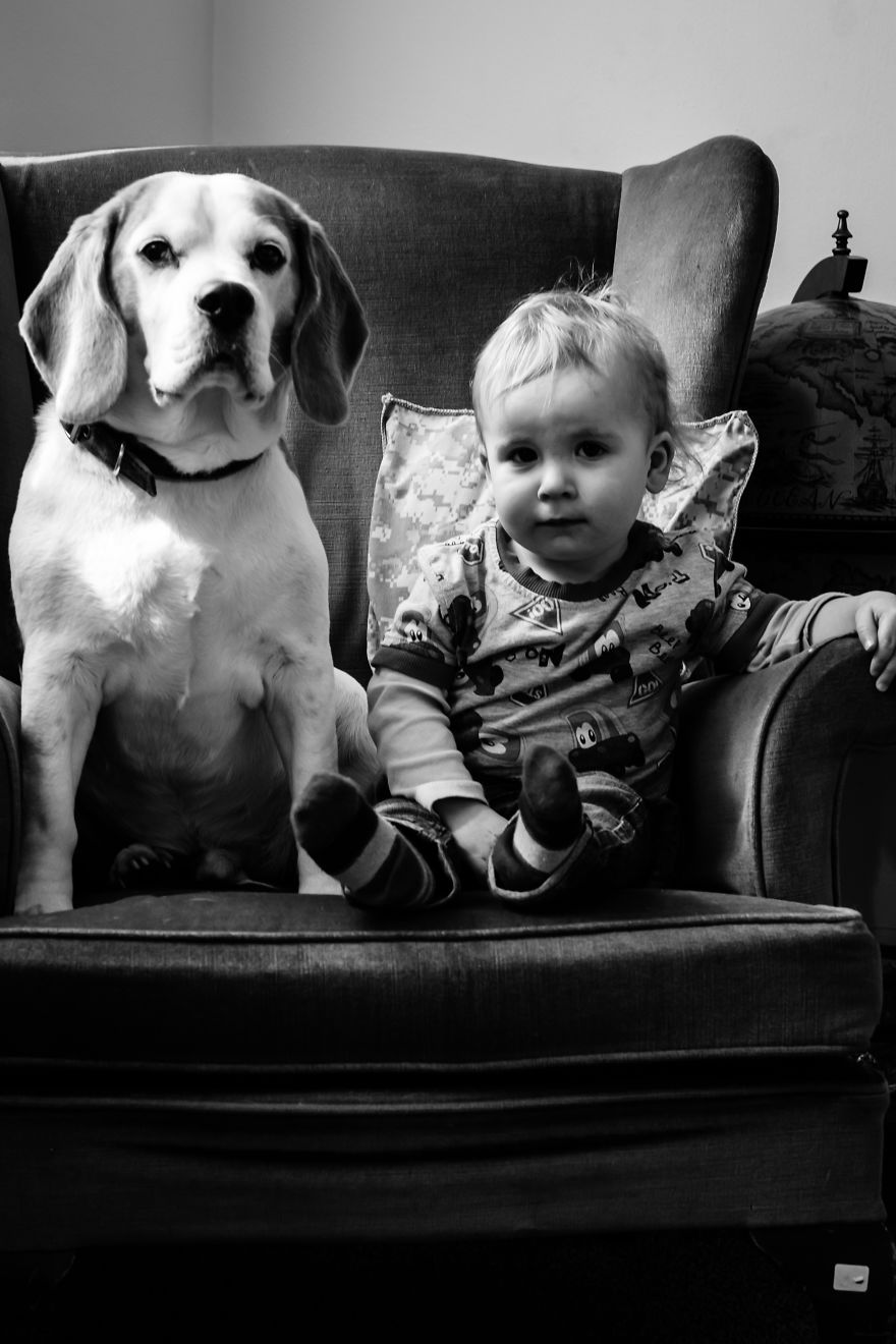 I've Taken A Picture Of My Son And Beagle Every Month For The Last Two Years In The Same Chair I've Taken A Picture Of My Son And Beagle Every Month For The Last Two Years In The Same Chair