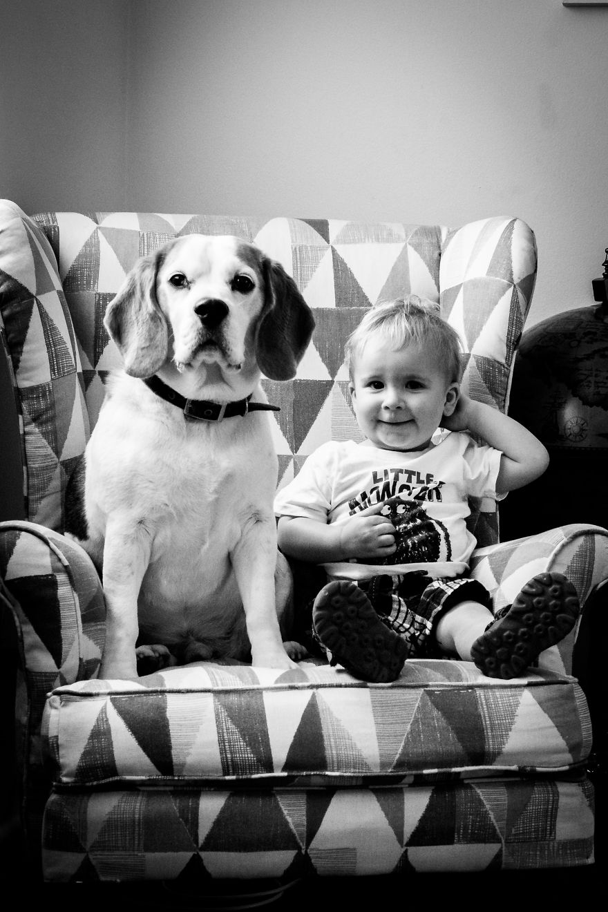 I've Taken A Picture Of My Son And Beagle Every Month For The Last Two Years In The Same Chair