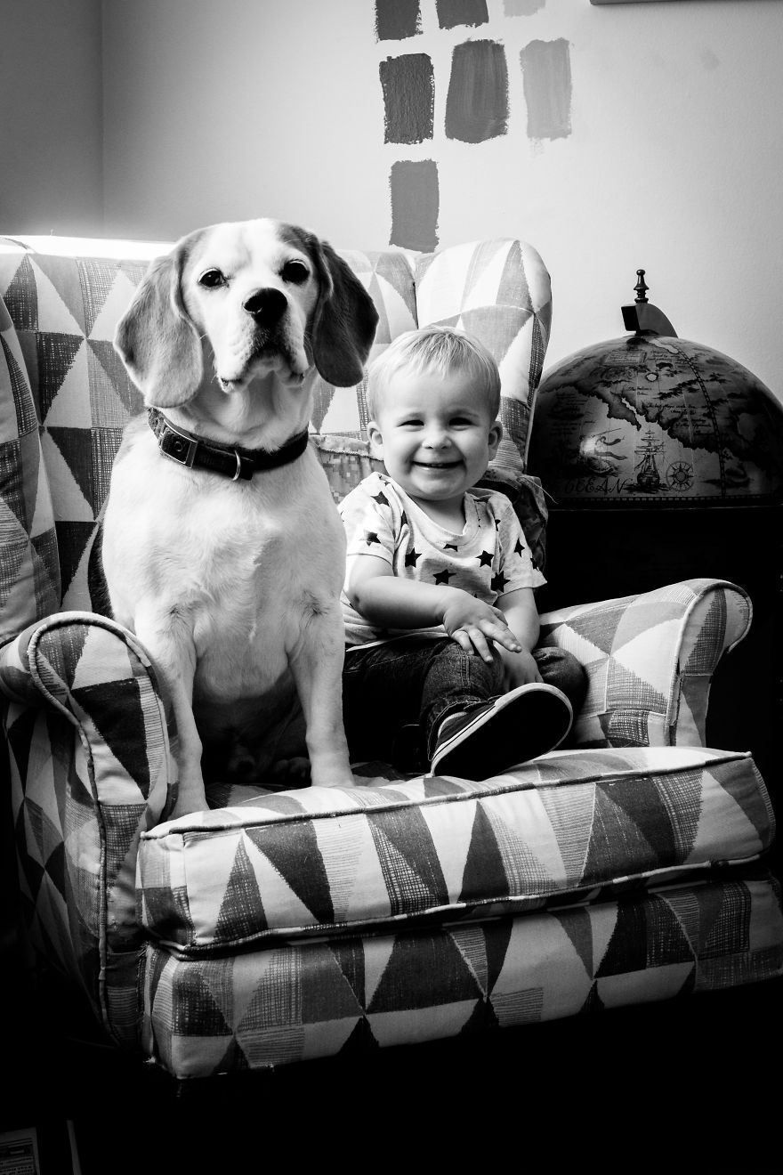 I've Taken A Picture Of My Son And Beagle Every Month For The Last Two Years In The Same Chair I've Taken A Picture Of My Son And Beagle Every Month For The Last Two Years In The Same Chair